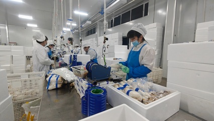 安圖生物 鉚足干勁抓生產，奮力沖刺生物制品“開門紅”